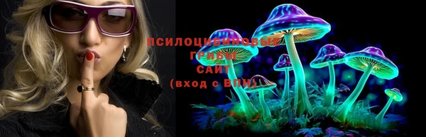 крисы Богданович