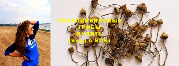 крисы Богданович
